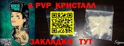 стафф Бердск